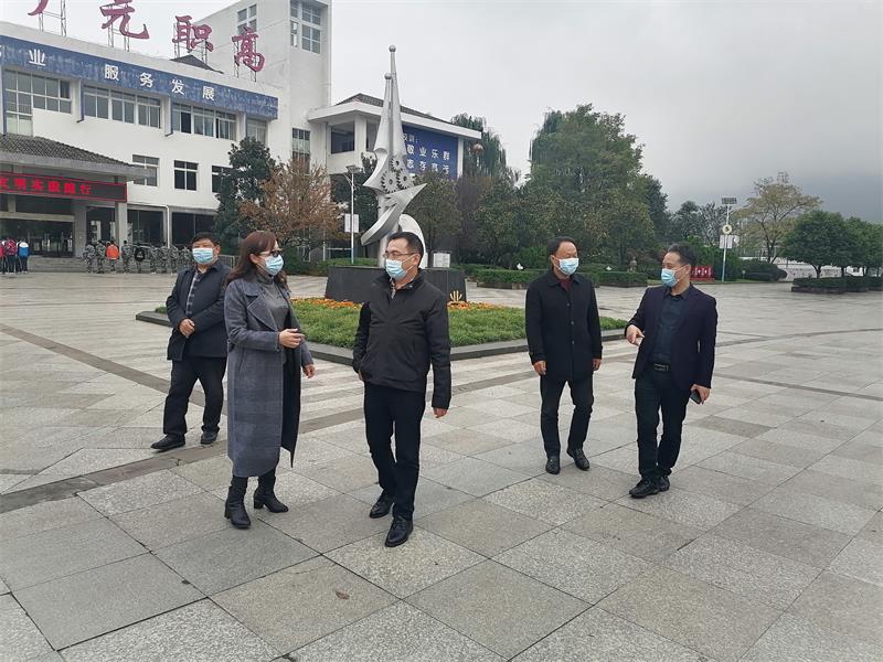 黄廷全率队到广元职高暗访疫情防控工作